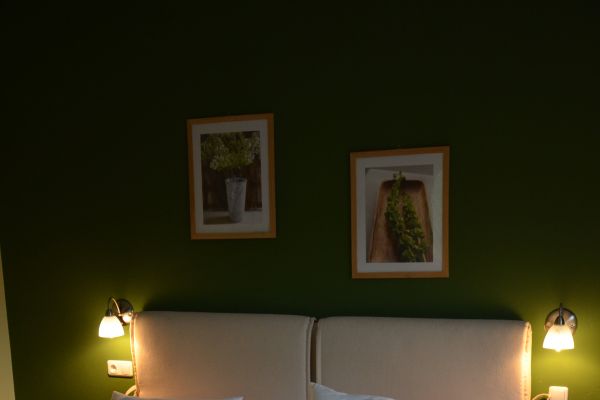 Doris Musill's Lebensfreude Hotel (Bad Mitterndorf)